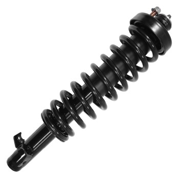 Suspension Strut and Coil Spring Assembly