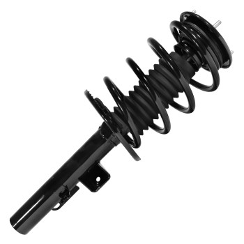 Suspension Strut and Coil Spring Assembly