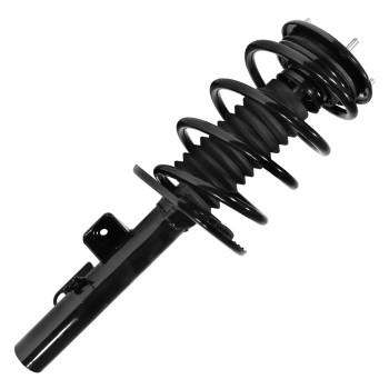 Suspension Strut and Coil Spring Assembly