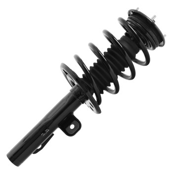 Suspension Strut and Coil Spring Assembly