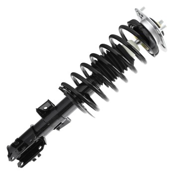 Suspension Strut and Coil Spring Assembly