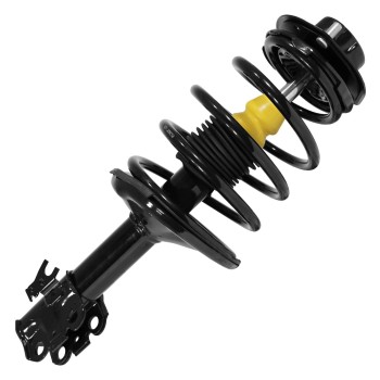 Suspension Strut and Coil Spring Assembly