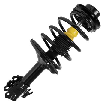 Suspension Strut and Coil Spring Assembly