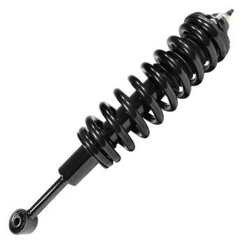 Suspension Strut and Coil Spring Assembly