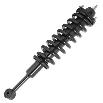 Suspension Strut and Coil Spring Assembly