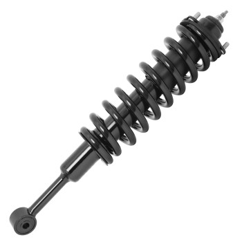 Suspension Strut and Coil Spring Assembly