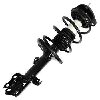 Suspension Strut and Coil Spring Assembly