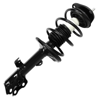 Suspension Strut and Coil Spring Assembly