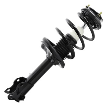 Suspension Strut and Coil Spring Assembly