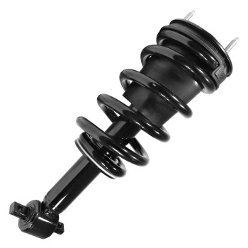 Suspension Strut and Coil Spring Assembly