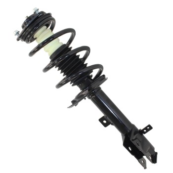 Suspension Strut and Coil Spring Assembly