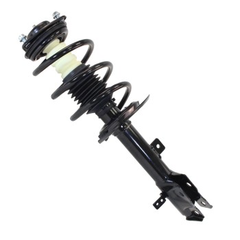Suspension Strut and Coil Spring Assembly
