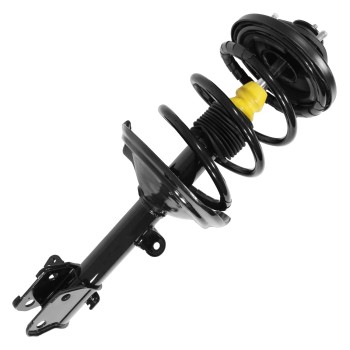 Suspension Strut and Coil Spring Assembly