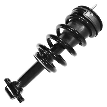 Suspension Strut and Coil Spring Assembly