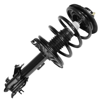Suspension Strut and Coil Spring Assembly