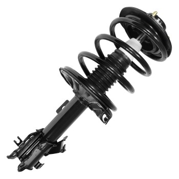 Suspension Strut and Coil Spring Assembly
