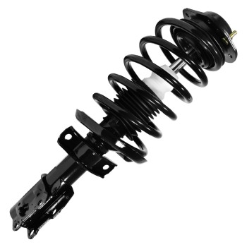 Suspension Strut and Coil Spring Assembly