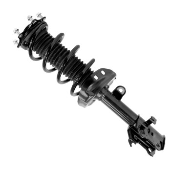 Suspension Strut and Coil Spring Assembly