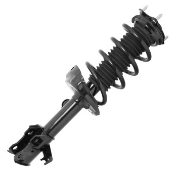 Suspension Strut and Coil Spring Assembly