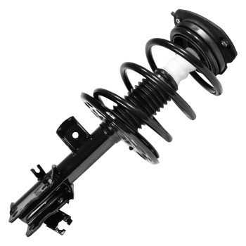 Suspension Strut and Coil Spring Assembly
