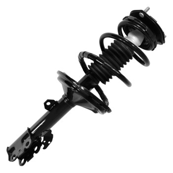 Suspension Strut and Coil Spring Assembly