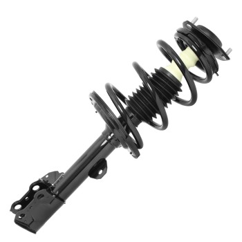 Suspension Strut and Coil Spring Assembly