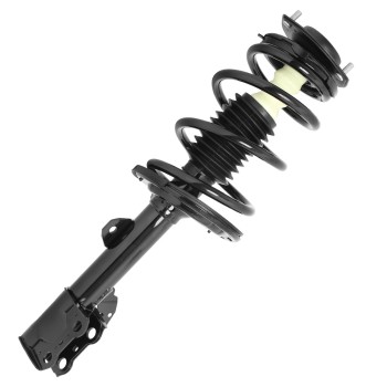 Suspension Strut and Coil Spring Assembly