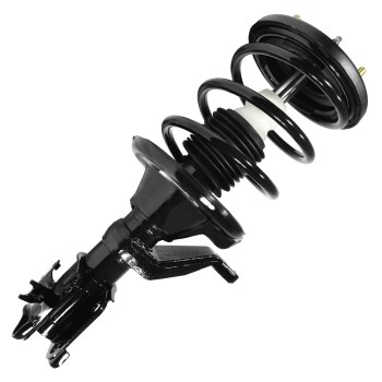 Suspension Strut and Coil Spring Assembly