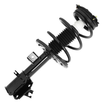 Suspension Strut and Coil Spring Assembly