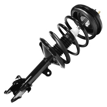 Suspension Strut and Coil Spring Assembly
