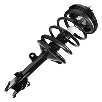 Suspension Strut and Coil Spring Assembly