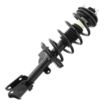 Suspension Strut and Coil Spring Assembly