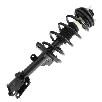 Suspension Strut and Coil Spring Assembly