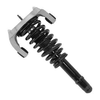 Suspension Strut and Coil Spring Assembly
