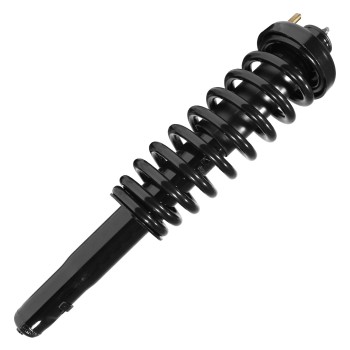 Suspension Strut and Coil Spring Assembly