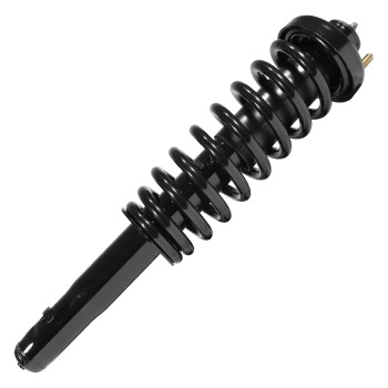 Suspension Strut and Coil Spring Assembly