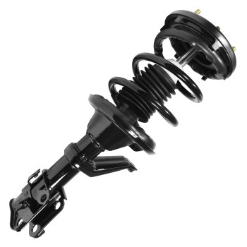 Suspension Strut and Coil Spring Assembly