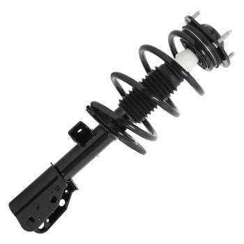 Suspension Strut and Coil Spring Assembly