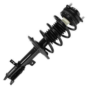 Suspension Strut and Coil Spring Assembly