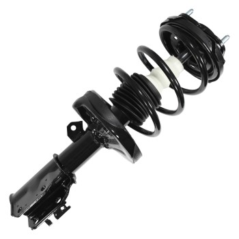 Suspension Strut and Coil Spring Assembly