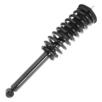 Suspension Strut and Coil Spring Assembly