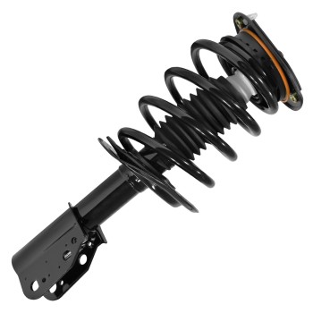 Suspension Strut and Coil Spring Assembly