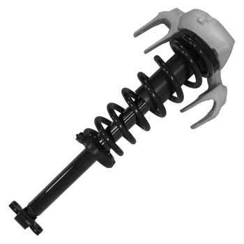 Suspension Strut and Coil Spring Assembly