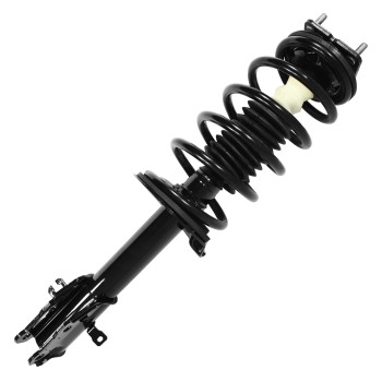 Suspension Strut and Coil Spring Assembly