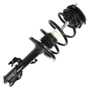 Suspension Strut and Coil Spring Assembly
