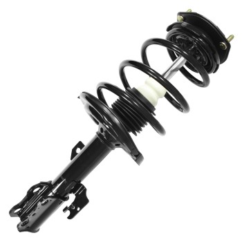 Suspension Strut and Coil Spring Assembly