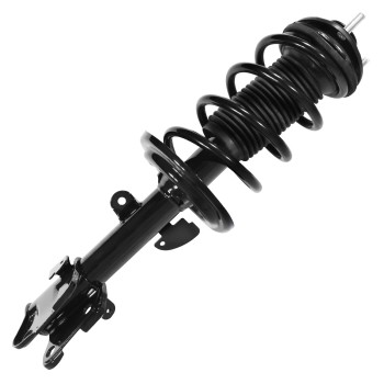 Suspension Strut and Coil Spring Assembly