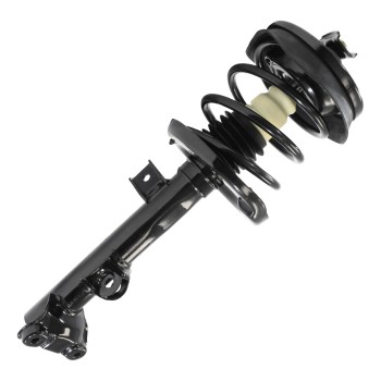 Suspension Strut and Coil Spring Assembly