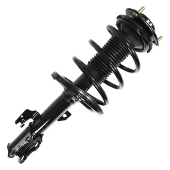 Suspension Strut and Coil Spring Assembly