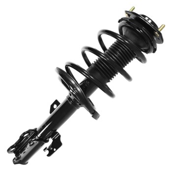 Suspension Strut and Coil Spring Assembly